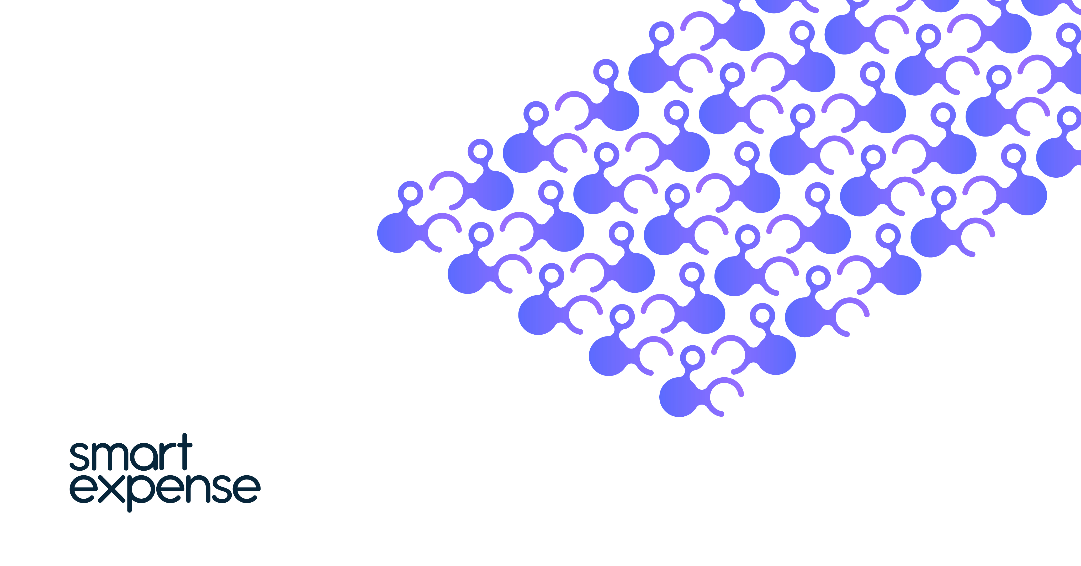 Smart Expense Logo Variation 1